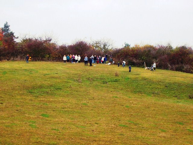 P1010012